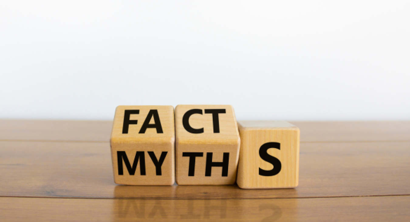 11 Common Home Energy Efficiency Myths Busted - Electrical Faults Fixed